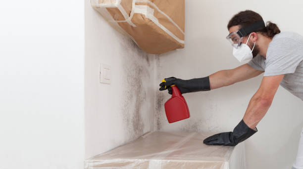 Professional Mold Remediation technician working in Bohemia, NY